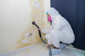 Best Crawl Space Mold Remediation  in Somerton, AZ